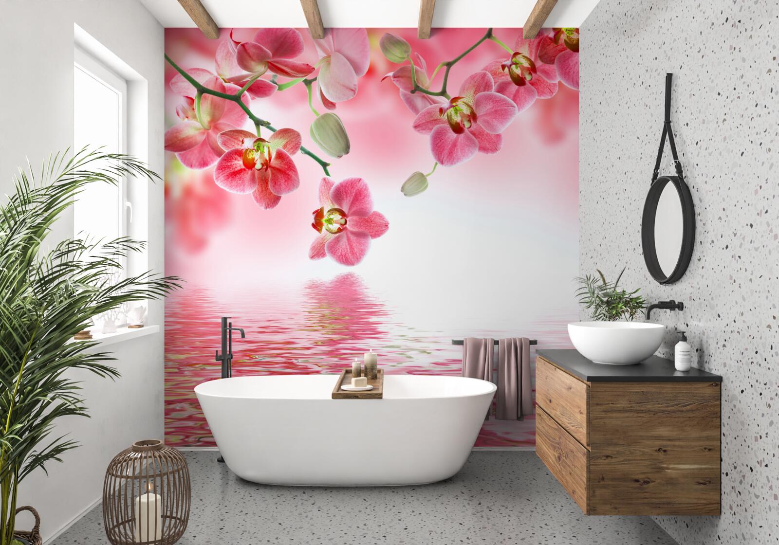 Fotobehang een rode orchidee hangt aan een boom boven het water