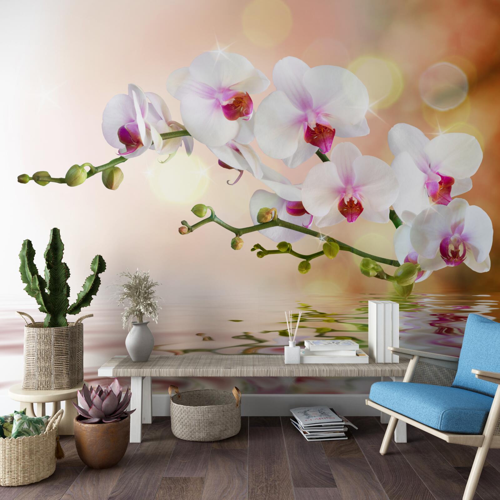 Fotobehang witte orchideeëntak weerspiegeld in het water