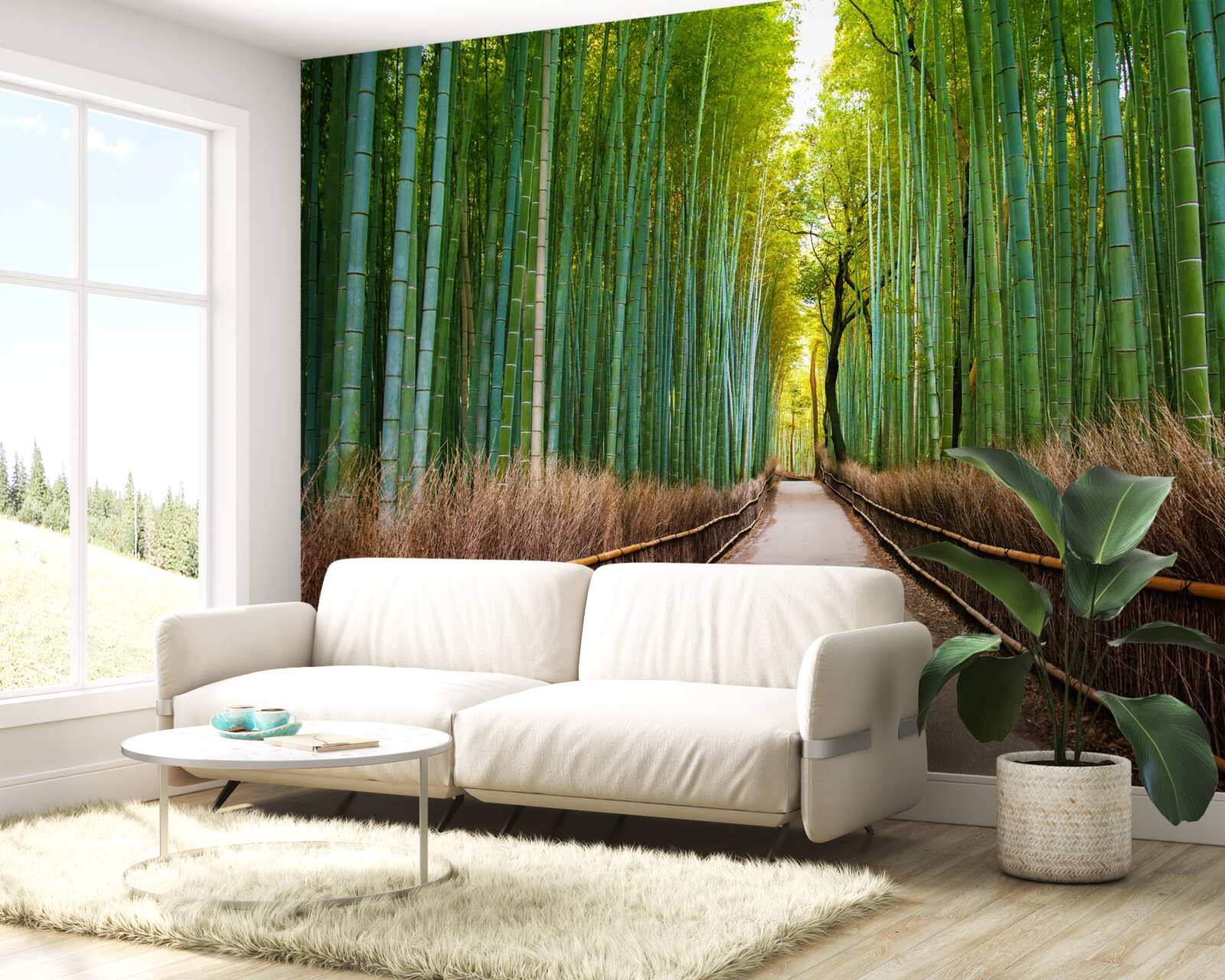 Fotobehang een sierlijk bamboebos met een pad