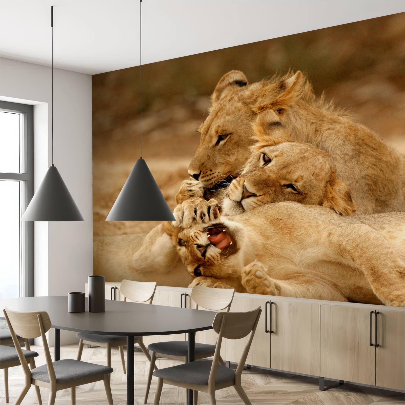 Fotobehang een leeuwenfamilie is neergestreken op een zandvlakte