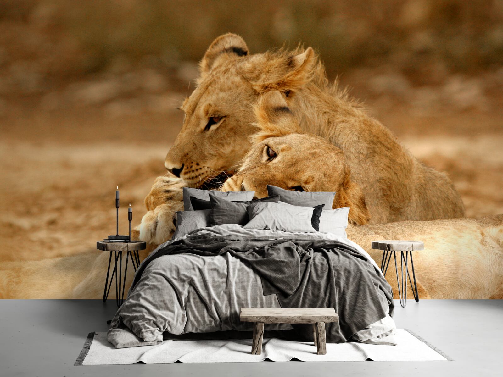 Fotobehang een leeuwenfamilie is neergestreken op een zandvlakte