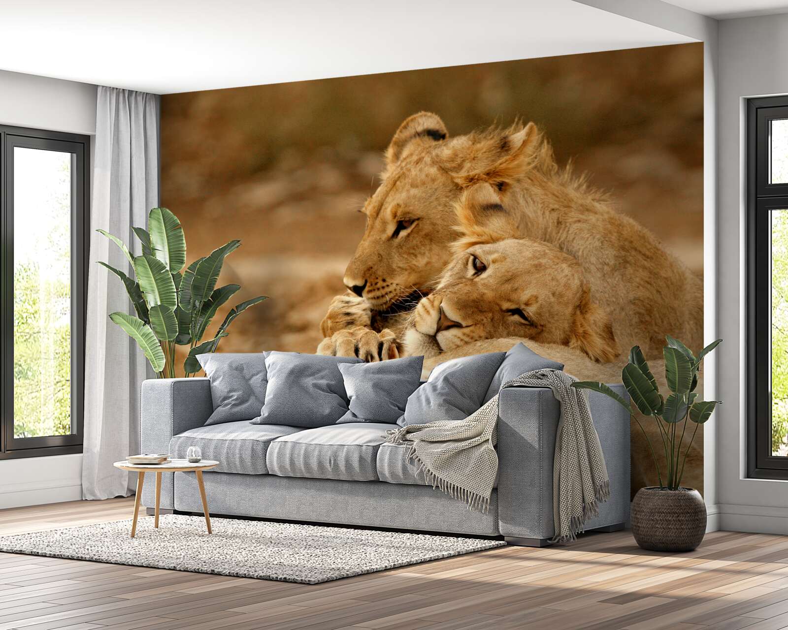 Fotobehang een leeuwenfamilie is neergestreken op een zandvlakte