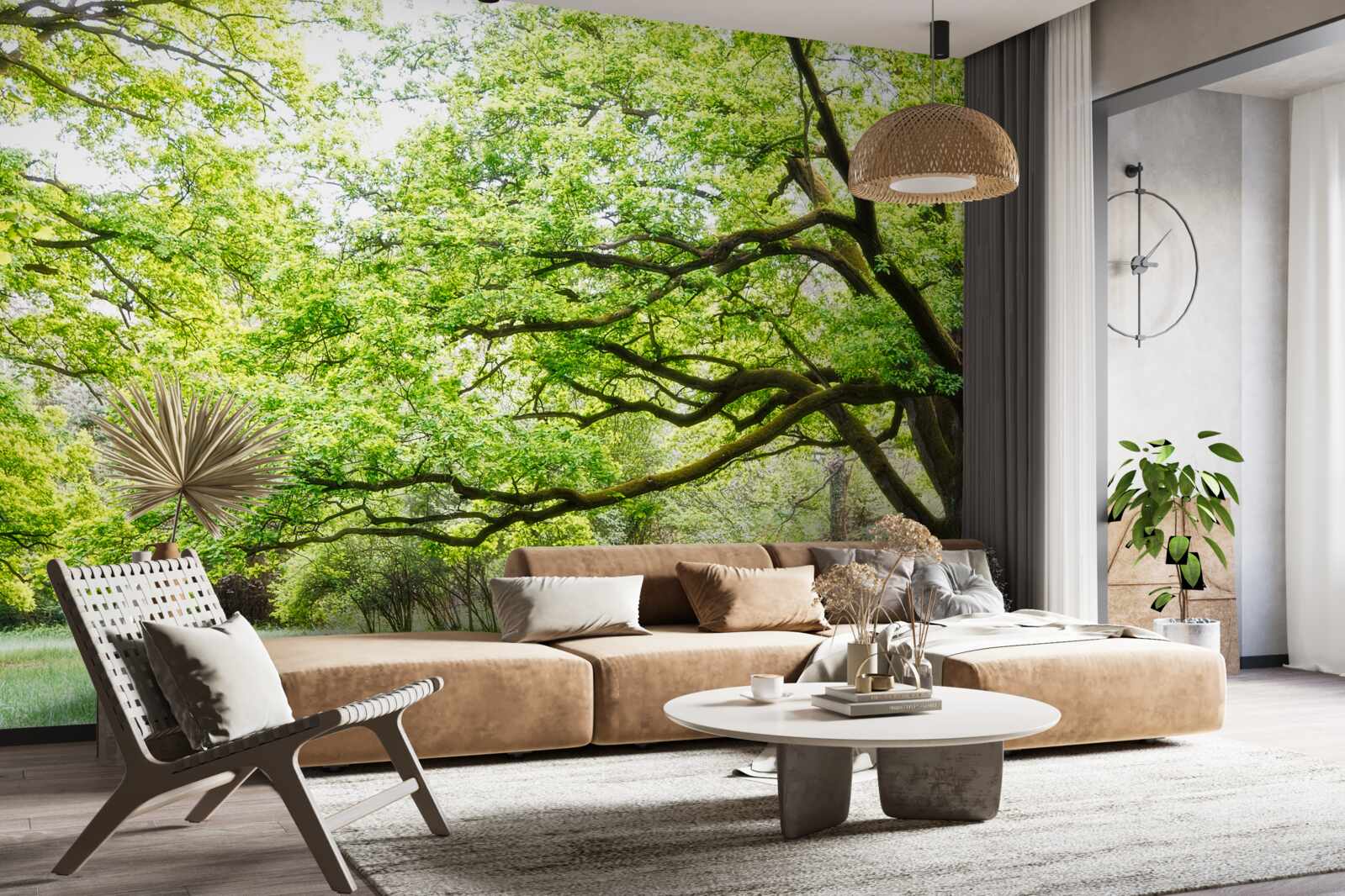 Fotobehang oude boom met groene bladeren op een zomerse dag