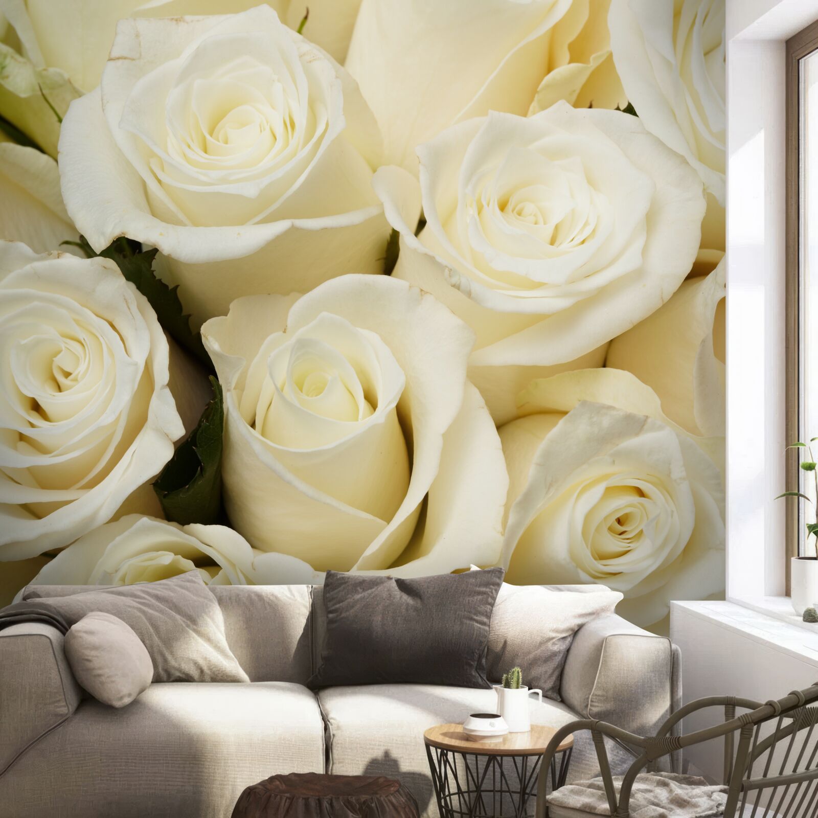 Fotobehang delicate en verfijnde sneeuwwitte rozenknoppen