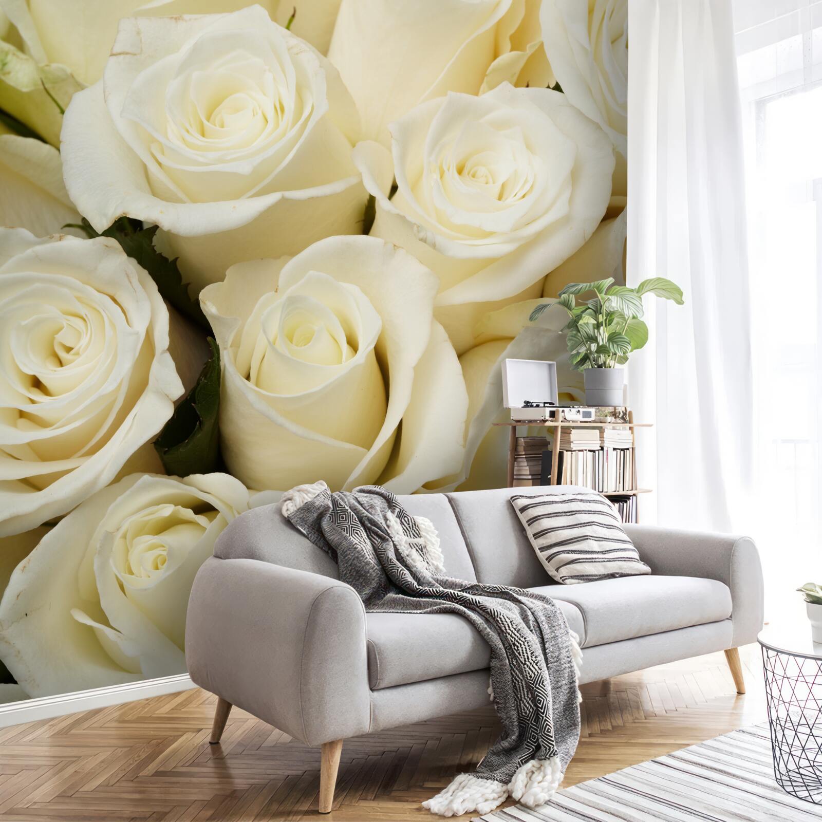 Fotobehang delicate en verfijnde sneeuwwitte rozenknoppen