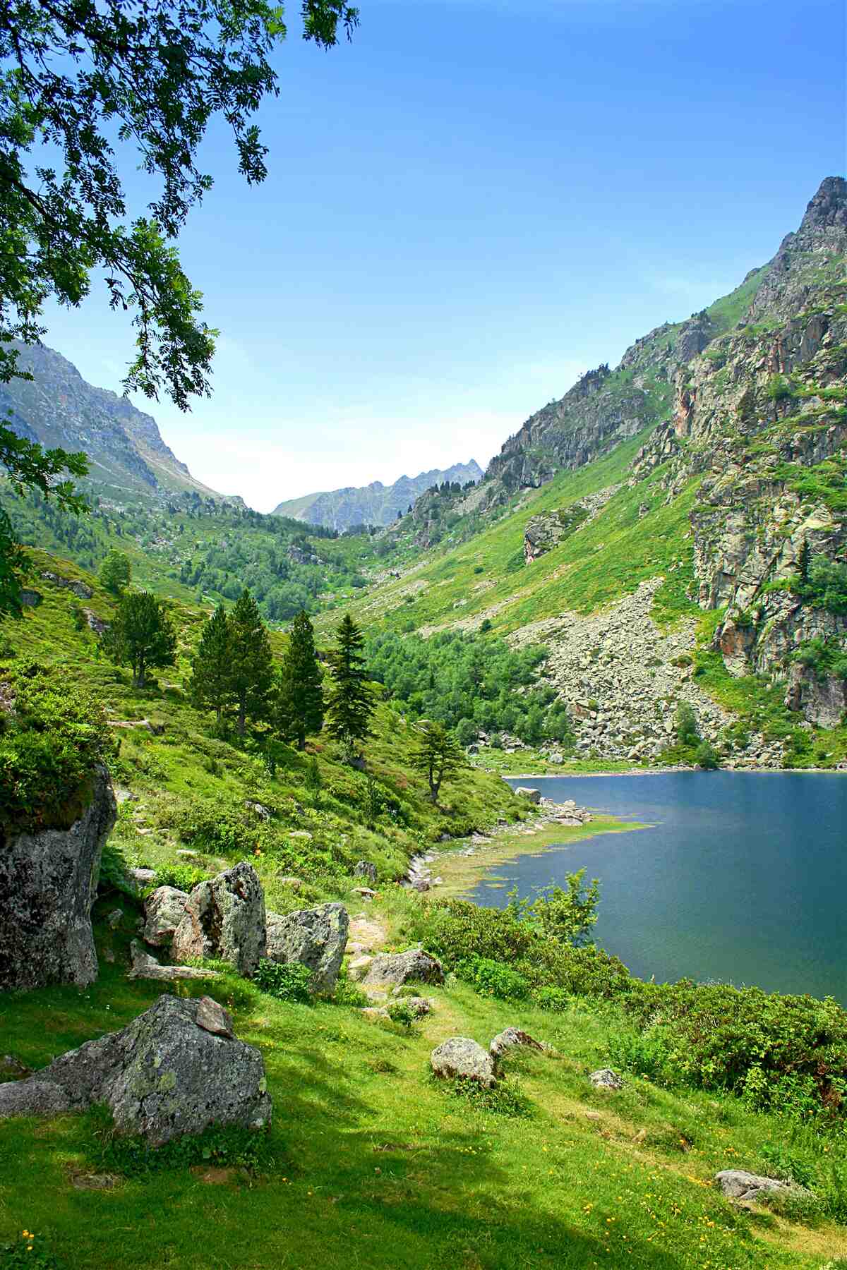 Fotobehang een meer omringd door bergen en groen