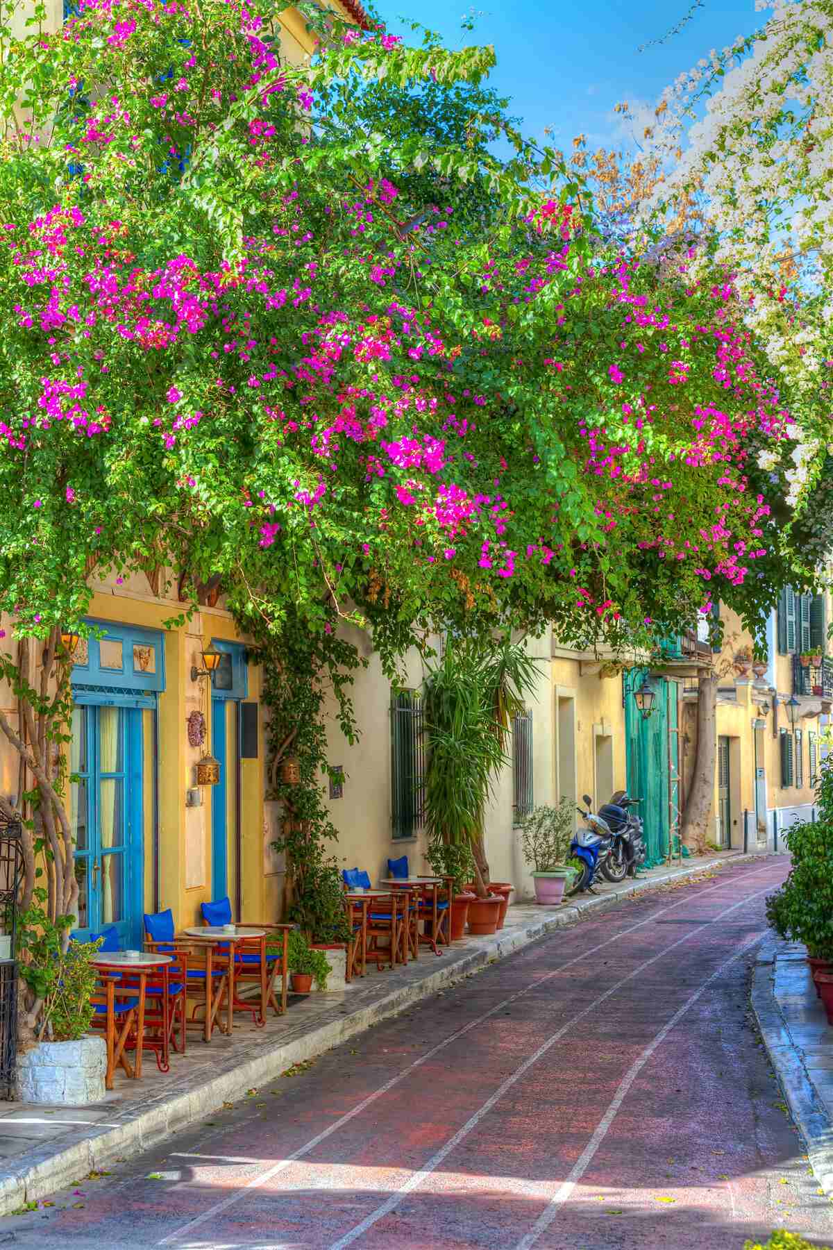 Fotobehang dicht groen boven de huizen