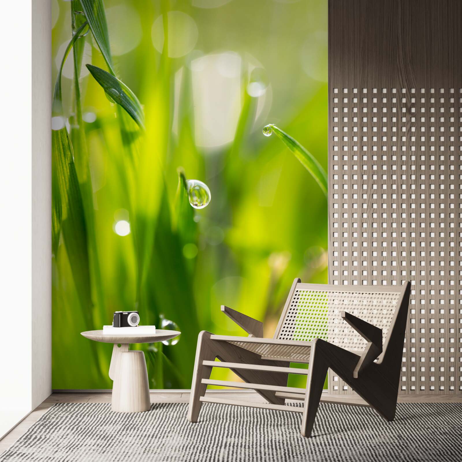 Fotobehang ochtenddauw valt op het gras