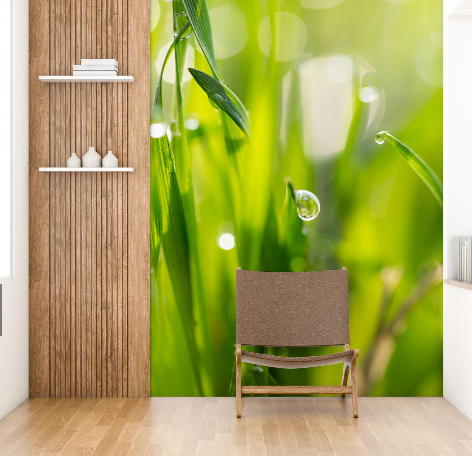 Fotobehang ochtenddauw valt op het gras