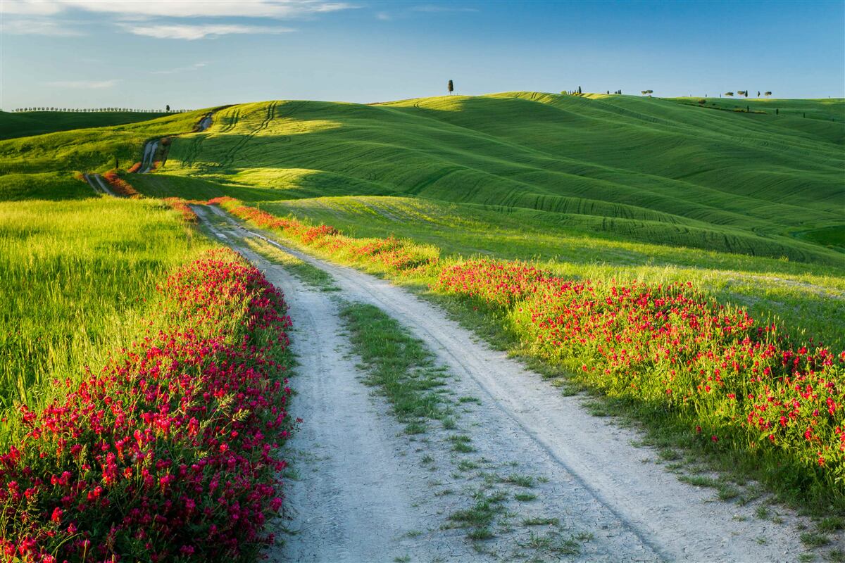 Fotobehang weg in de bergen omgeven door groene velden