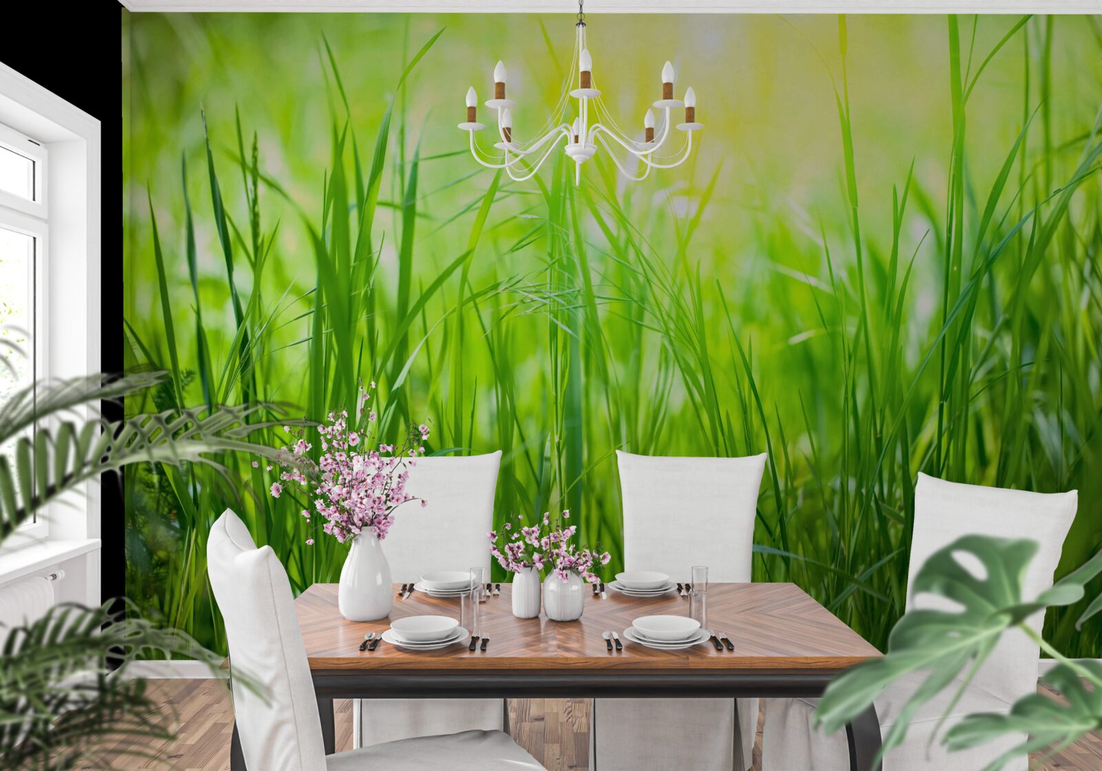 Fotobehang ochtenddauw valt in het zonlicht