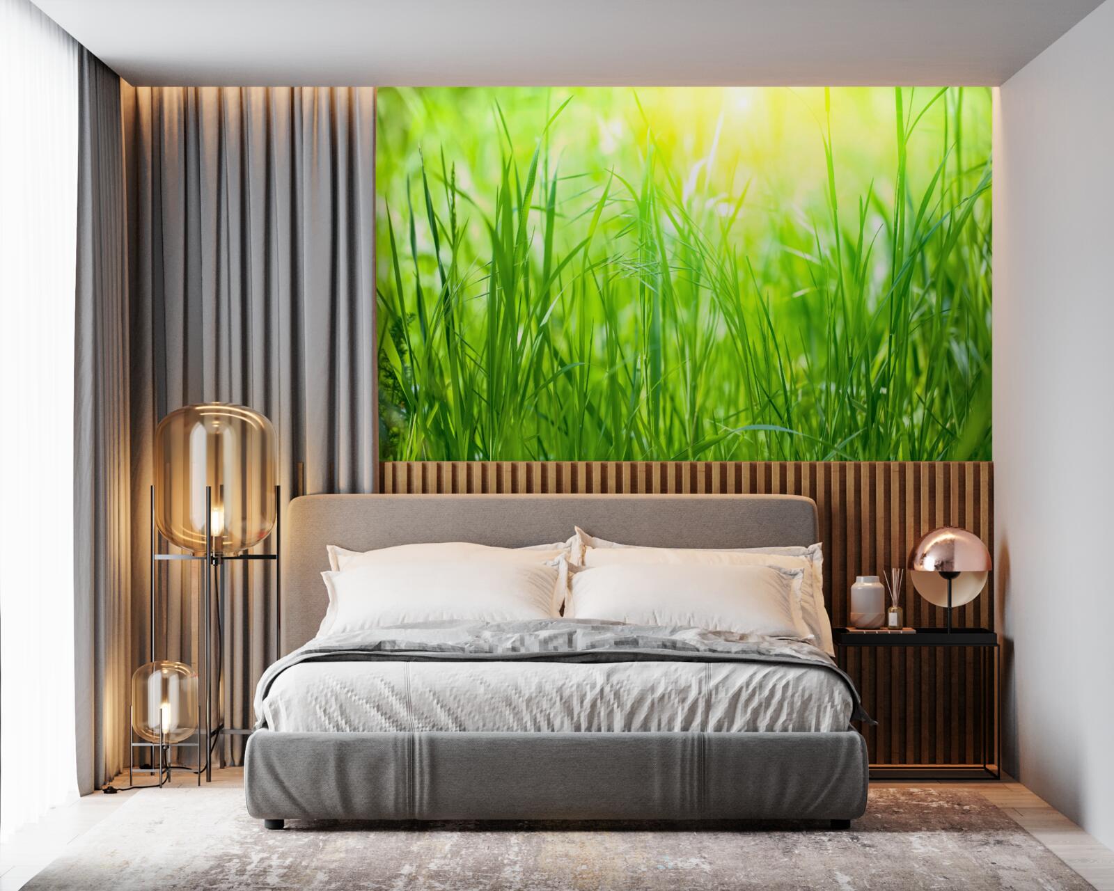 Fotobehang ochtenddauw valt in het zonlicht