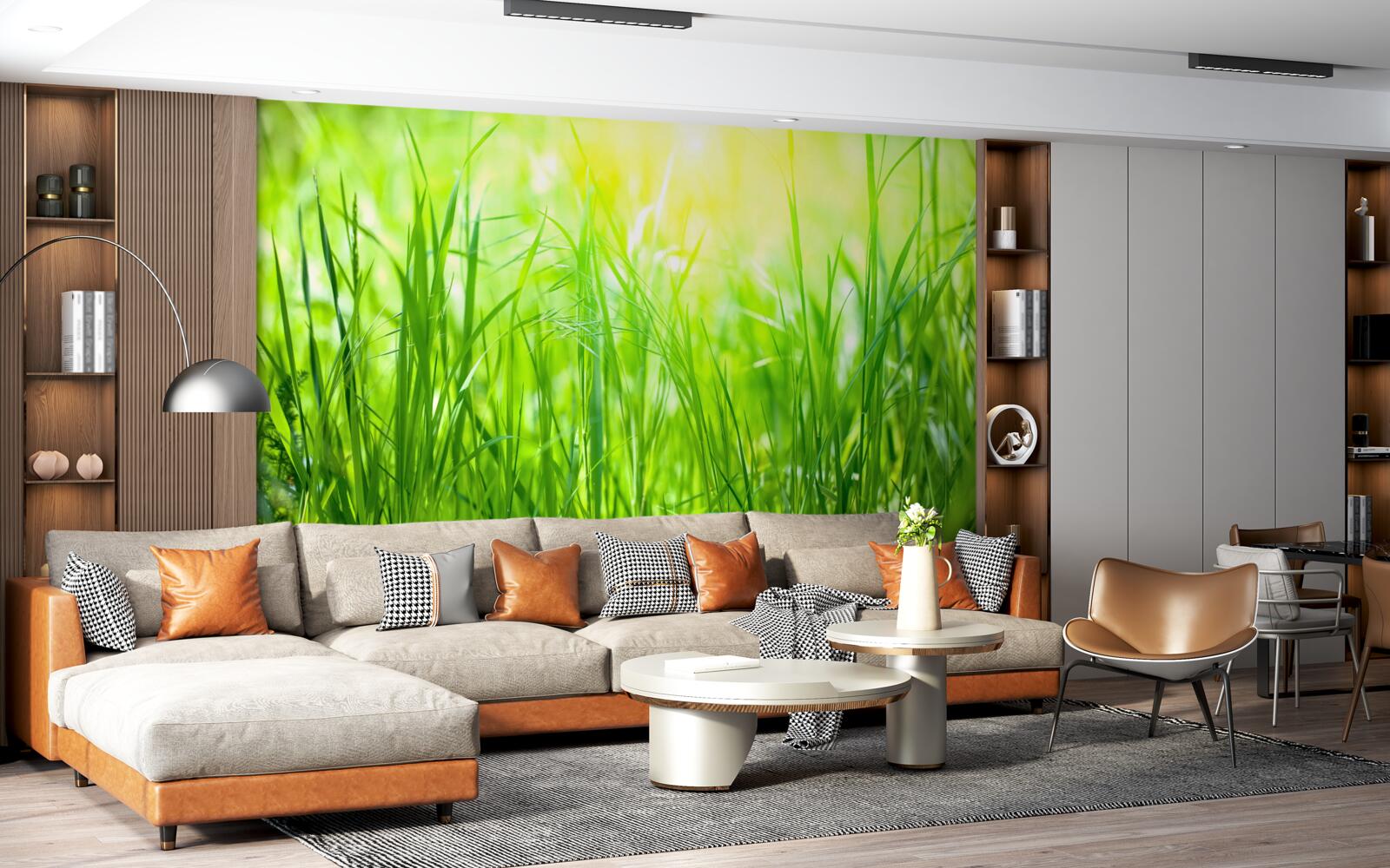 Fotobehang ochtenddauw valt in het zonlicht