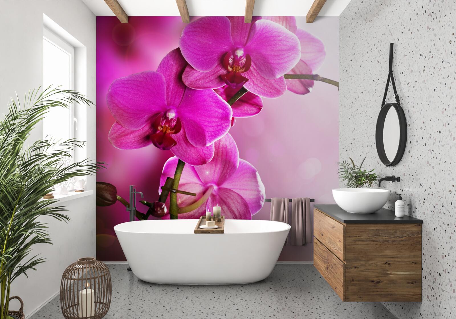 Fotobehang een sierlijke tak van een lila orchidee in de zon