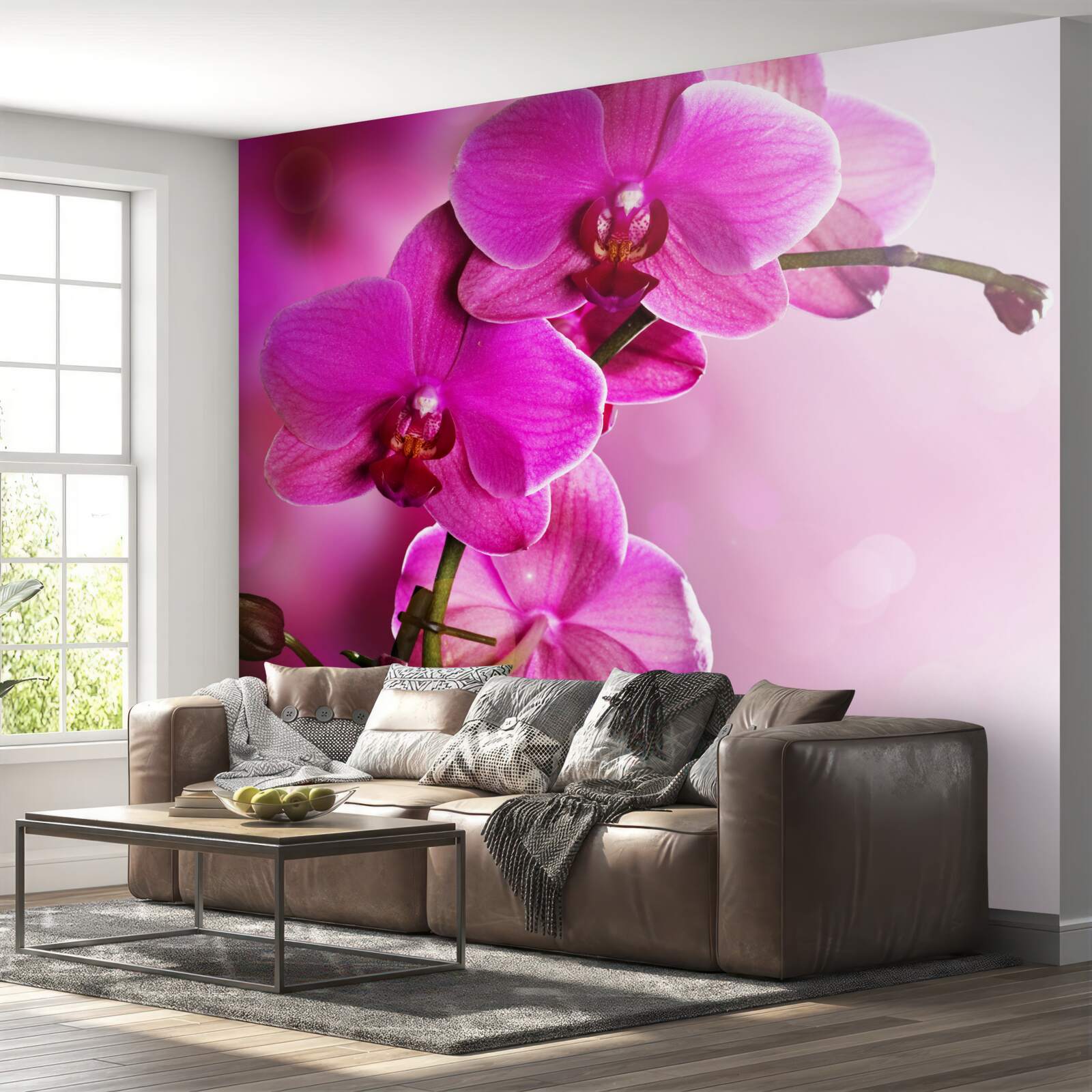 Fotobehang een sierlijke tak van een lila orchidee in de zon