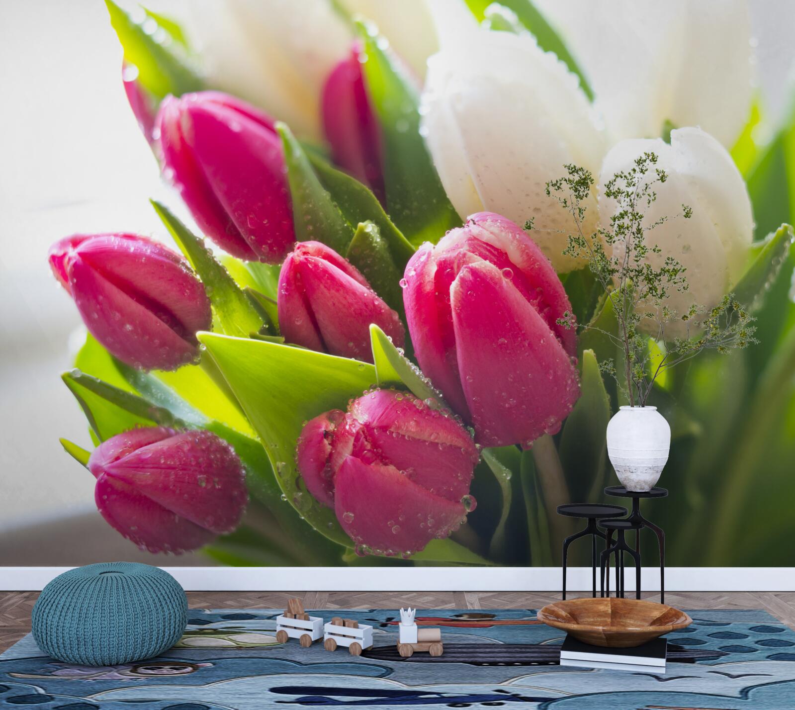 Fotobehang compositie van witte en lavendel met dauw bedekte tulpen