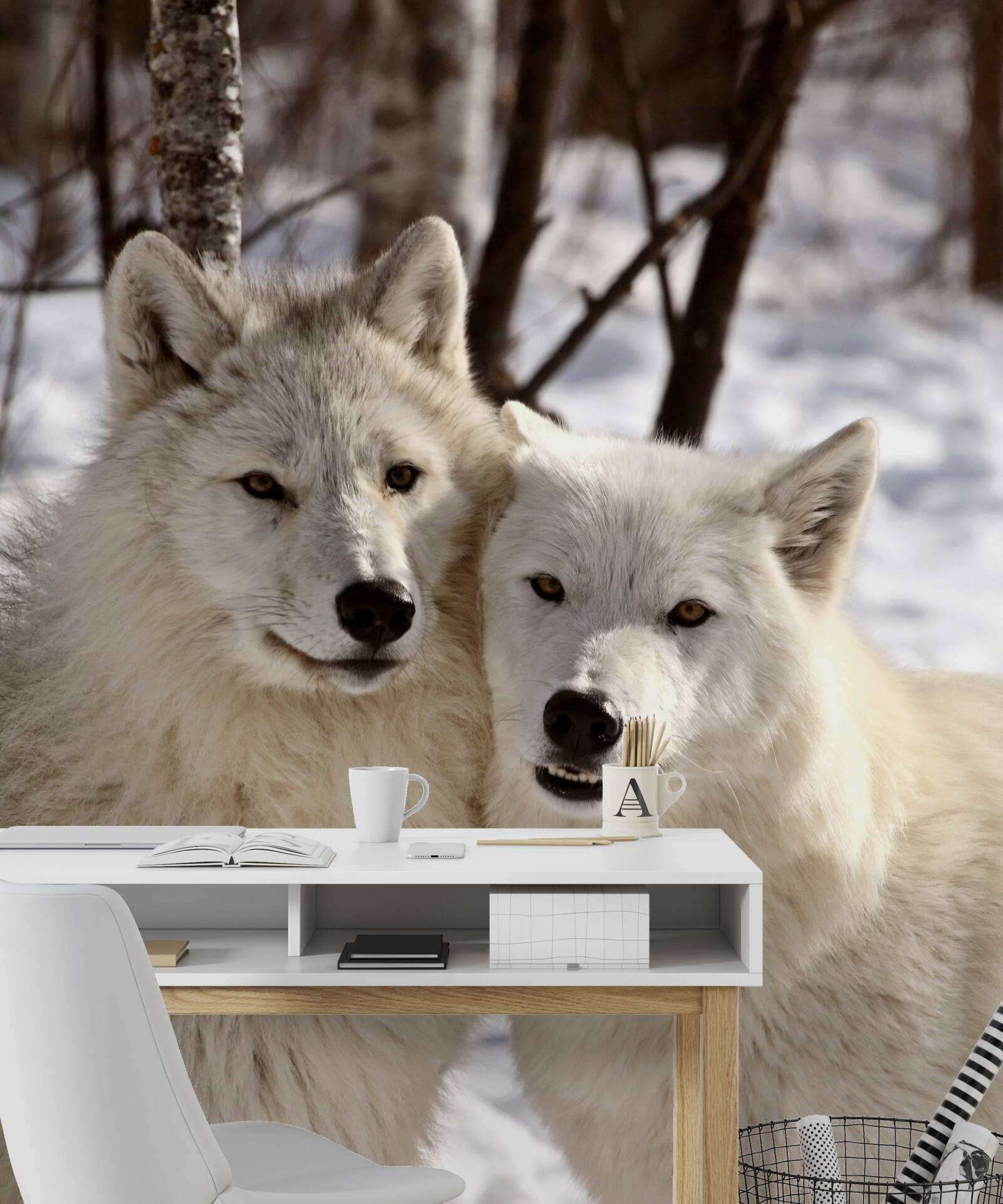 Fotobehang een roedel witte wolven in een besneeuwd bos
