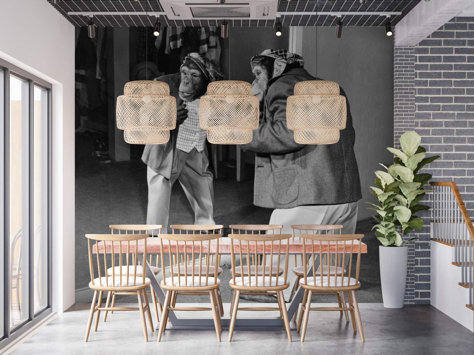 Fotobehang aap in kleren kijkt in de spiegel