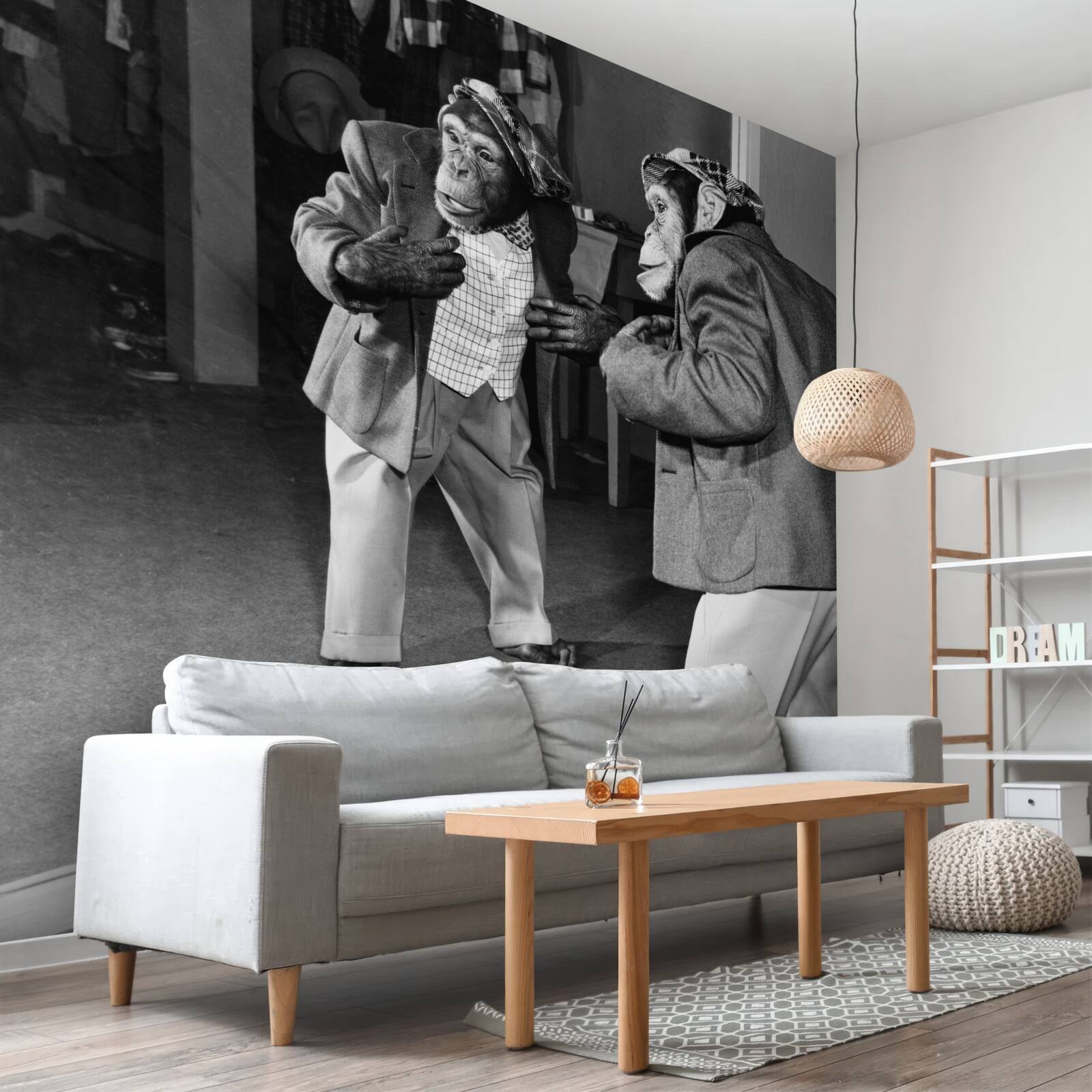 Fotobehang aap in kleren kijkt in de spiegel