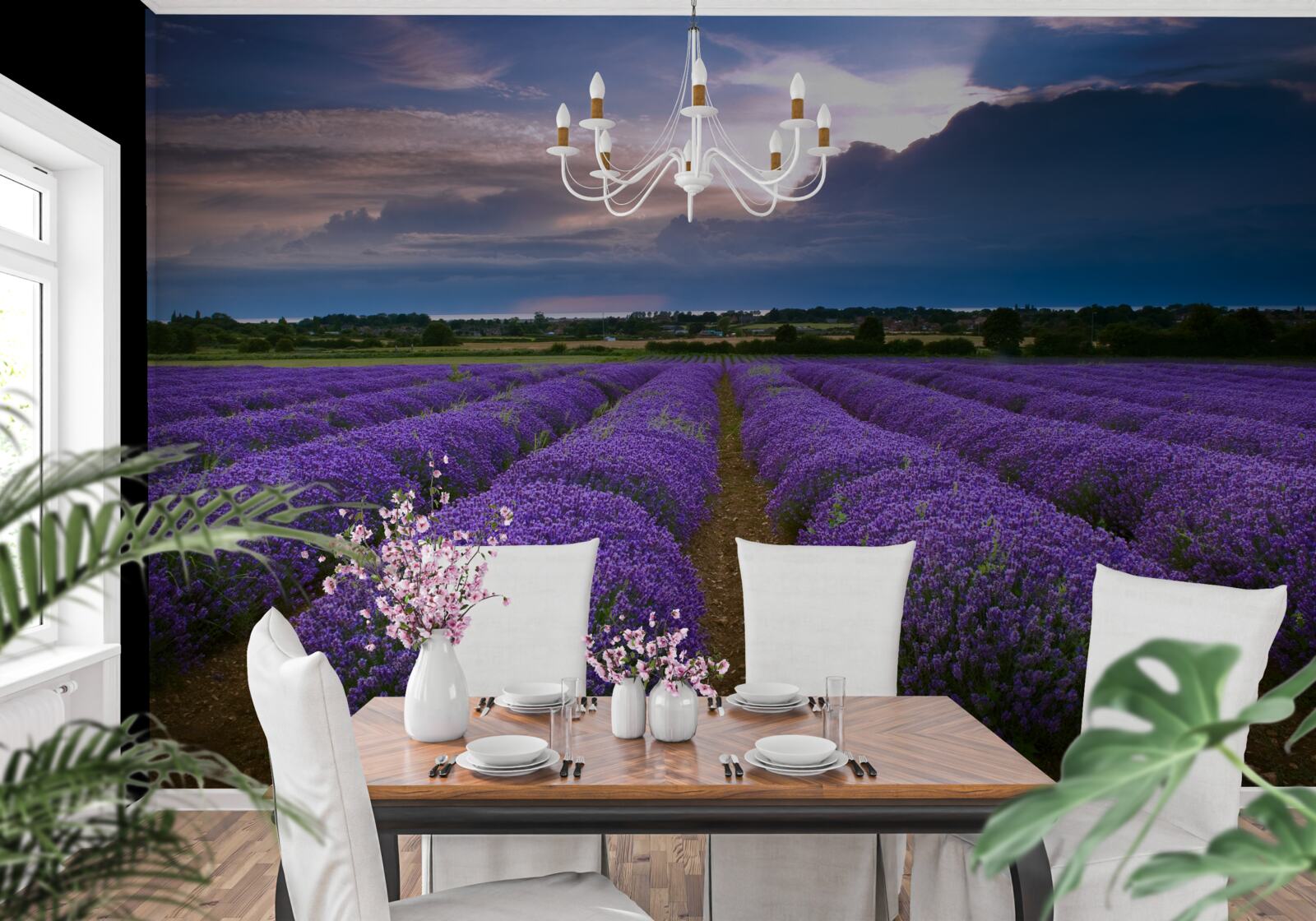 Fotobehang in het veld groeien geurige lavendelstruiken