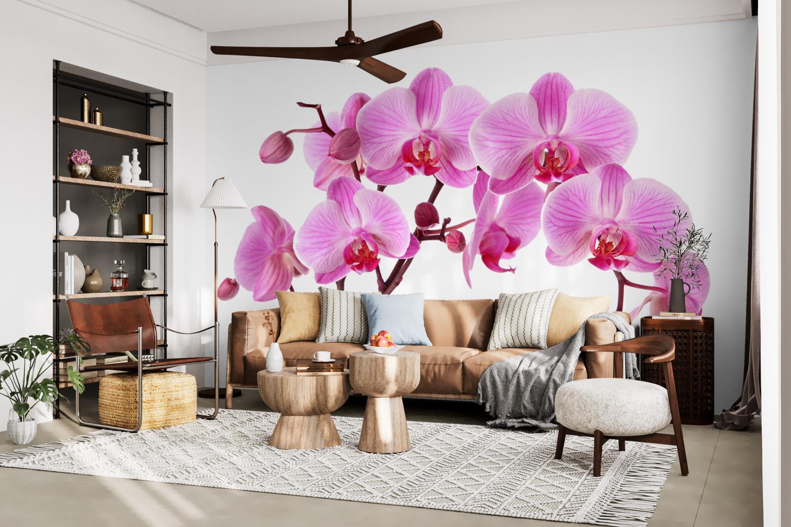 Fotobehang roze lelie op een tak op een witte achtergrond