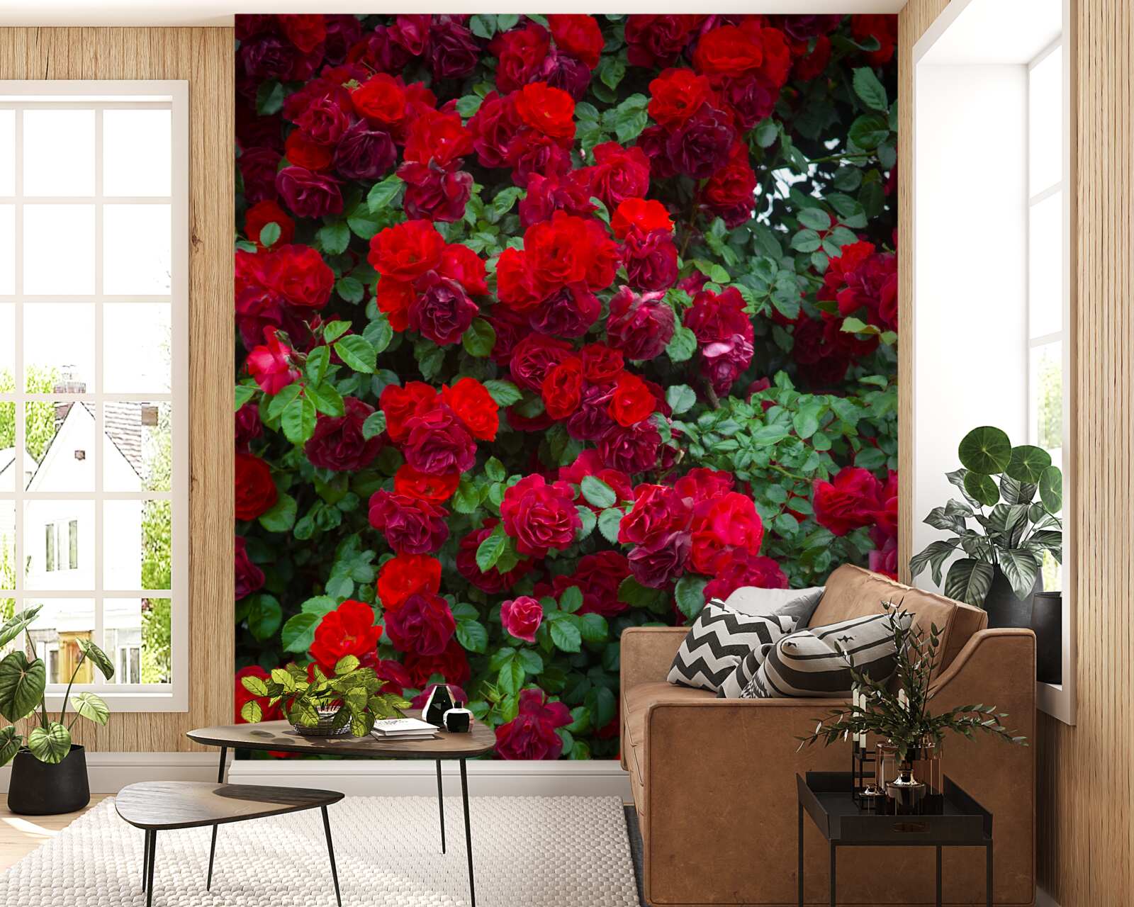 Fotobehang scharlaken rozenstruik