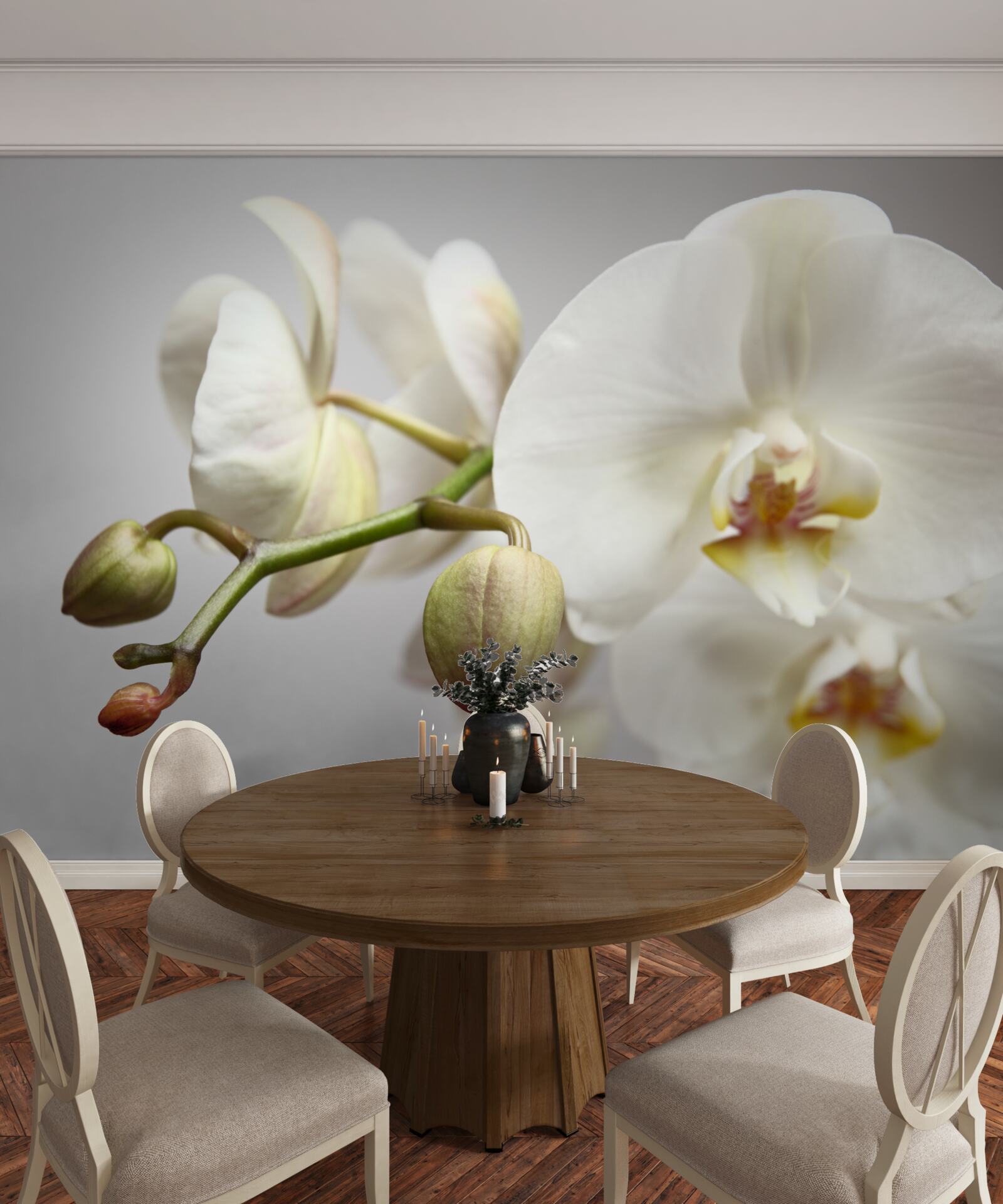 Fotobehang witte orchideeëntak met bloeiende bloemen en onontwikkelde knoppen