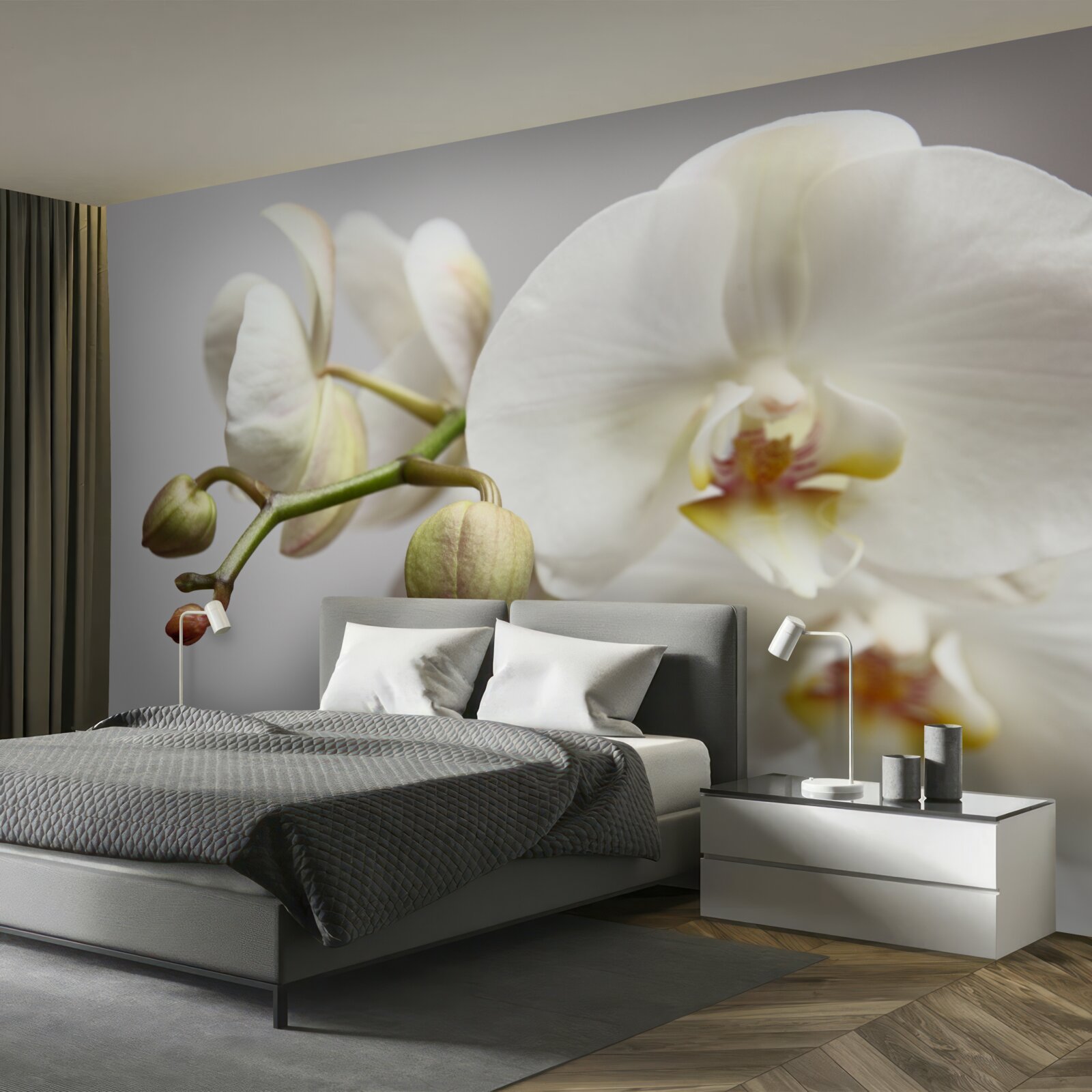Fotobehang witte orchideeëntak met bloeiende bloemen en onontwikkelde knoppen
