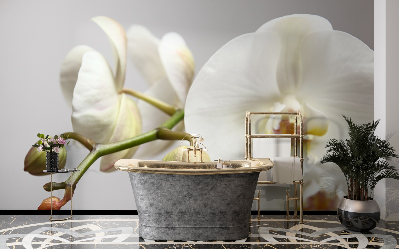 Fotobehang witte orchideeëntak met bloeiende bloemen en onontwikkelde knoppen