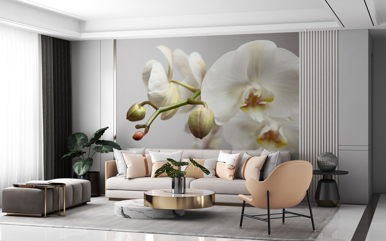 Fotobehang witte orchideeëntak met bloeiende bloemen en onontwikkelde knoppen