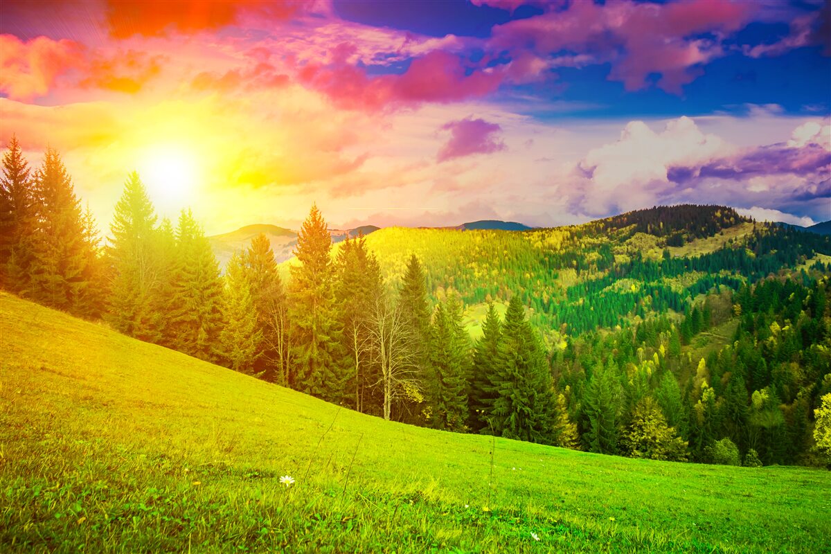 Fotobehang de verzengende zonsondergang schilderde de groene heuvel met heldere kleuren