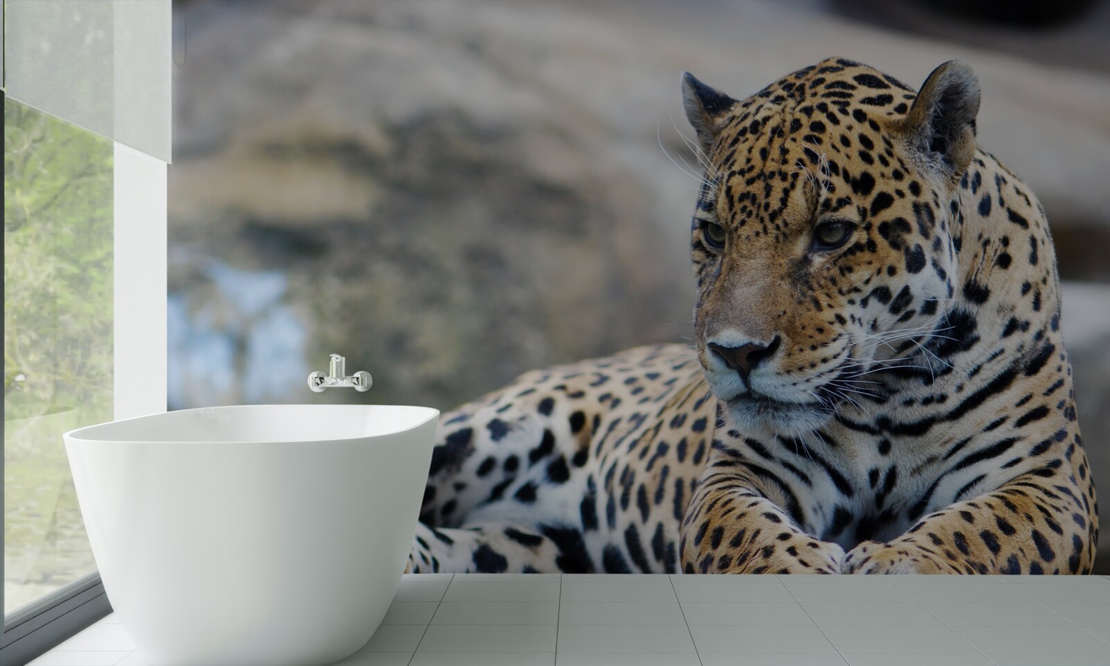 Fotobehang luipaard ontspant op houten oppervlakken