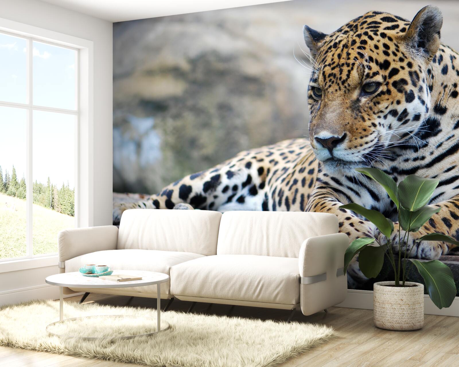 Fotobehang luipaard ontspant op houten oppervlakken