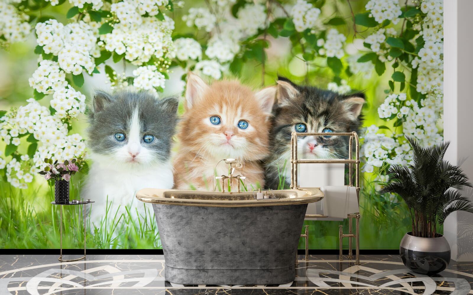 Fotobehang kittens in een bloeiende weide