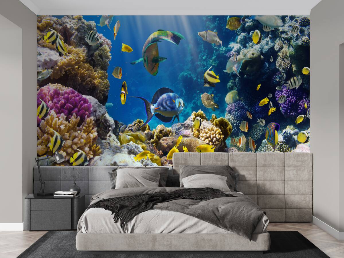 Fotobehang heldere vissen en onderwaterplanten