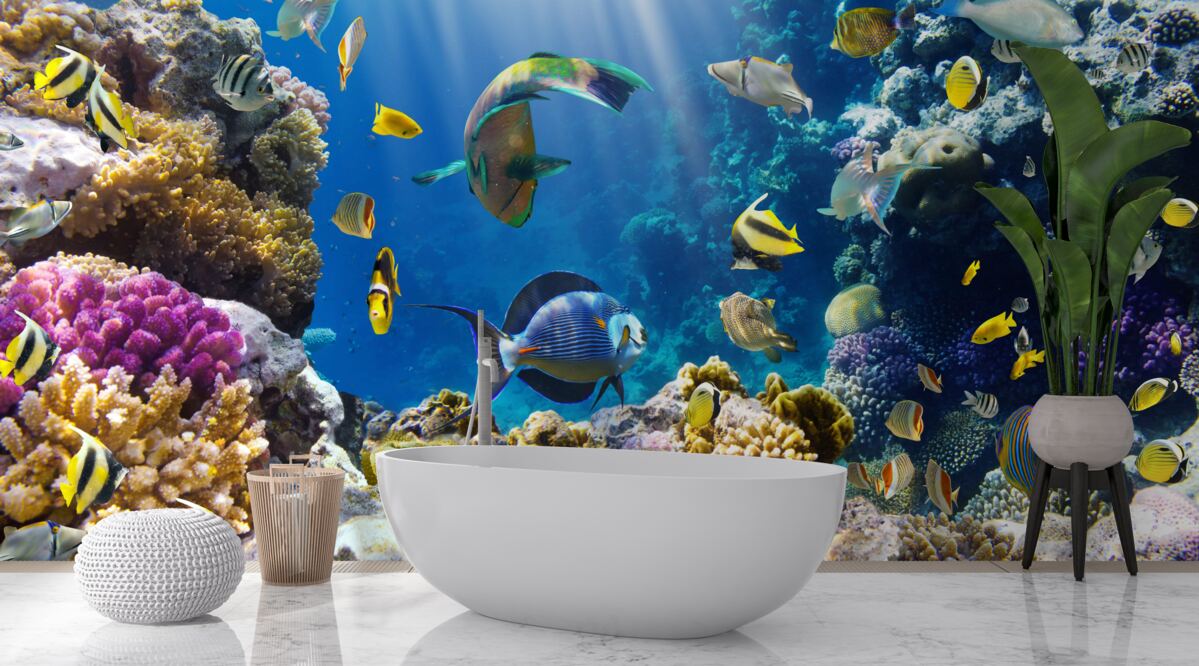 Fotobehang heldere vissen en onderwaterplanten