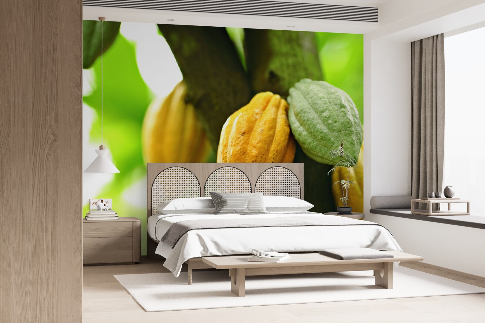 Fotobehang rijpe cacaobonen aan de boom