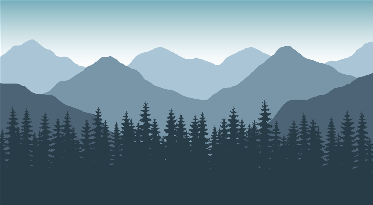 Fotobehang mistige bergen en naaldbos