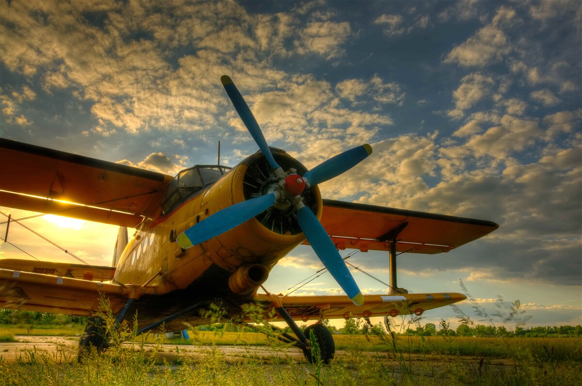 Fotobehang in het veld staat een vintage vliegtuig met een propeller