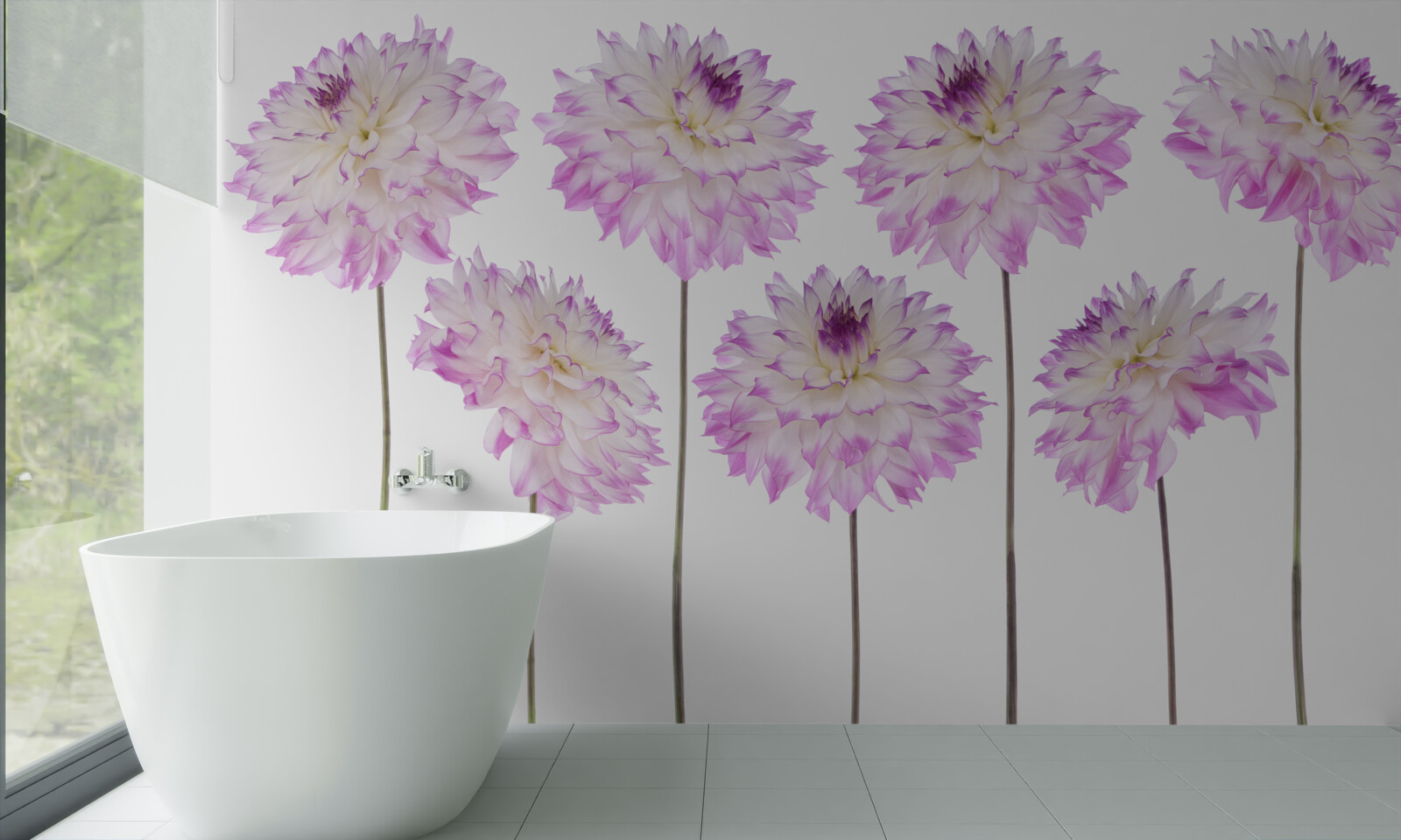 Fotobehang sierlijke witte en roze asters