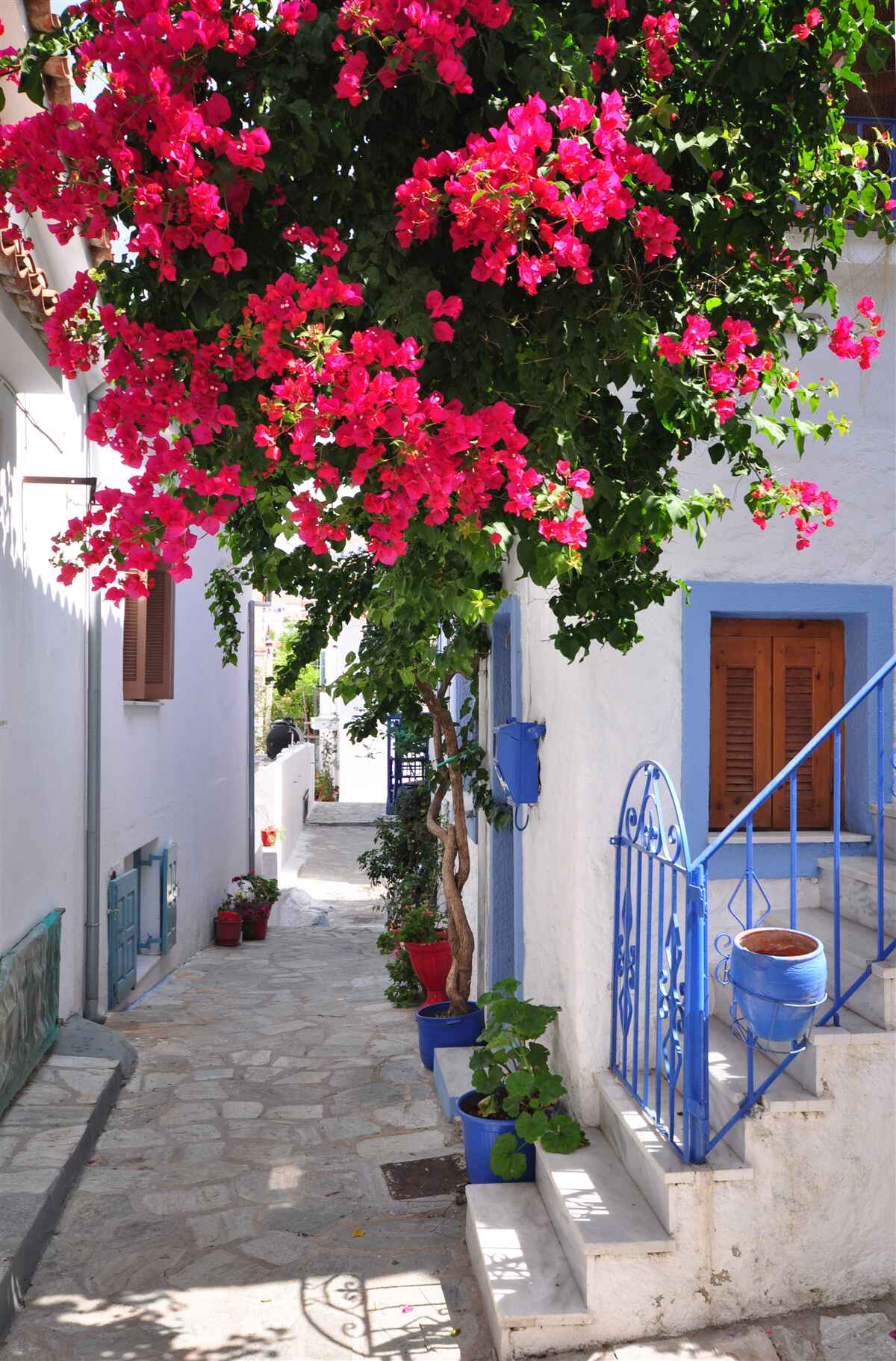 Fotobehang in griekenland groeien rode bloemen bij witte huizen