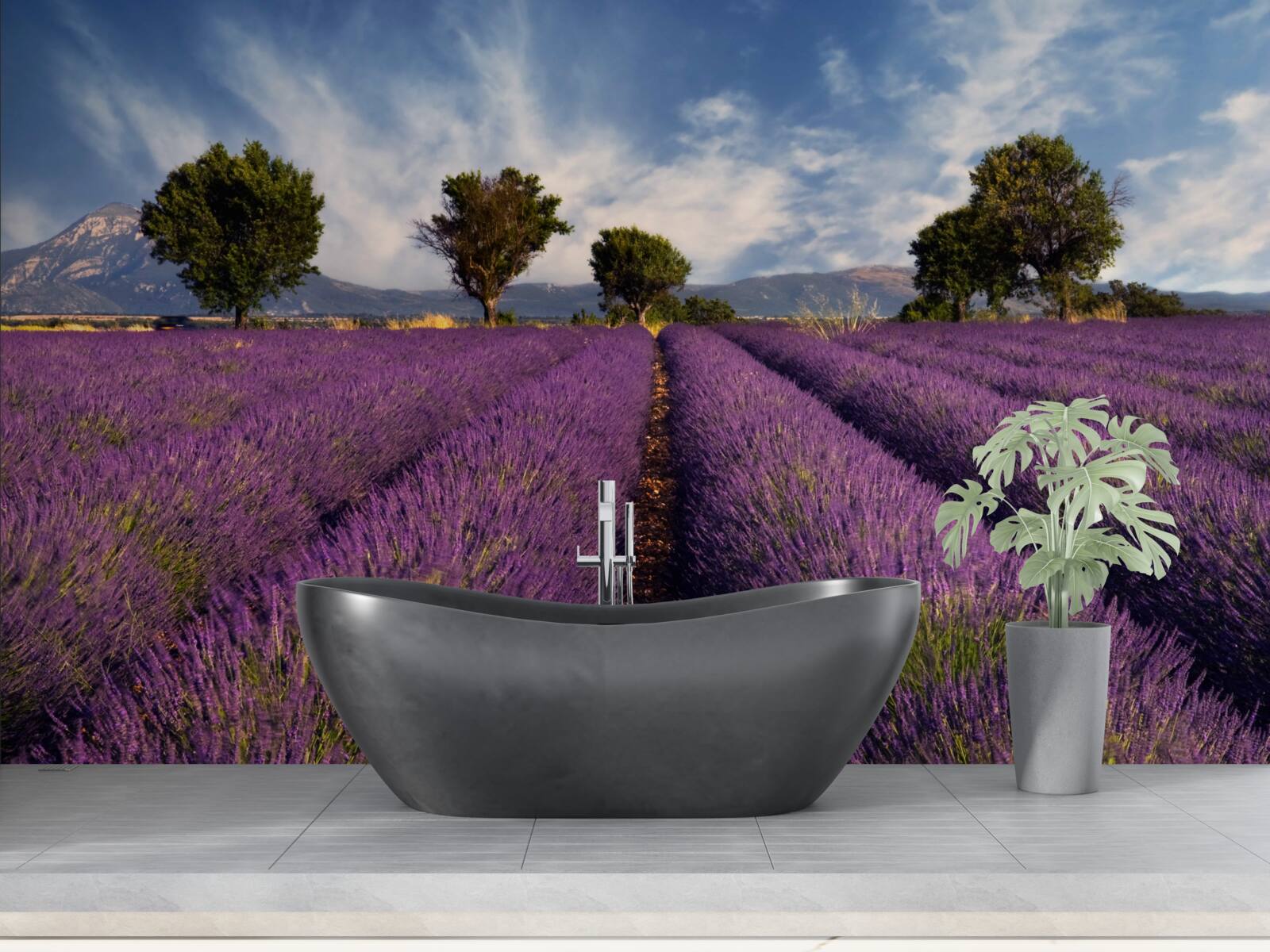 Fotobehang geurige lavendelvelden