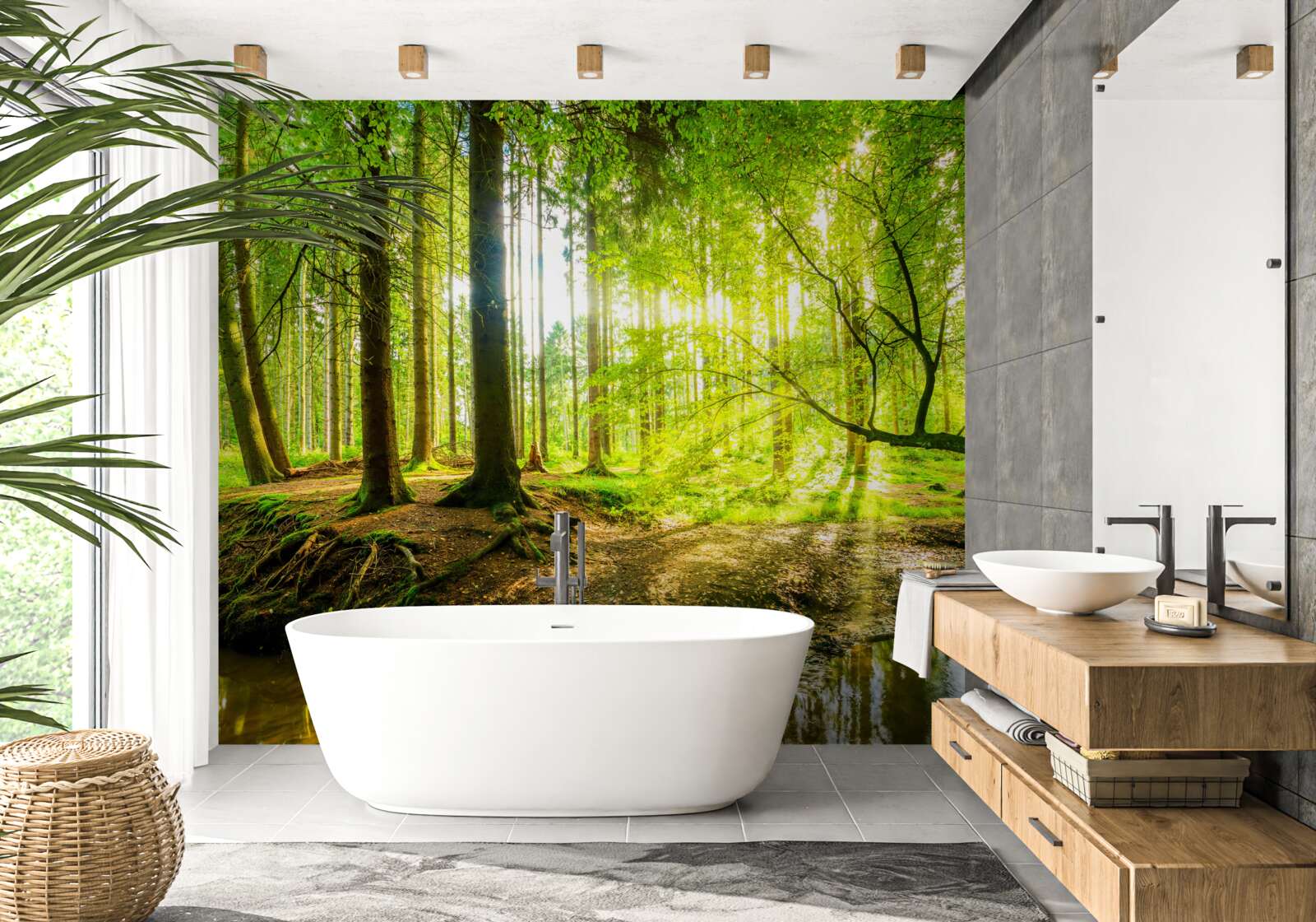 Fotobehang Zonnestralen wekken een slapend bos