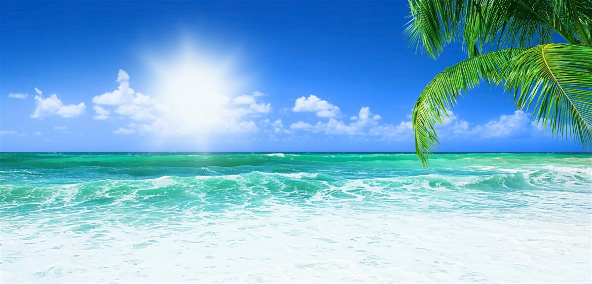 Fotobehang tropisch hoogwater overdag