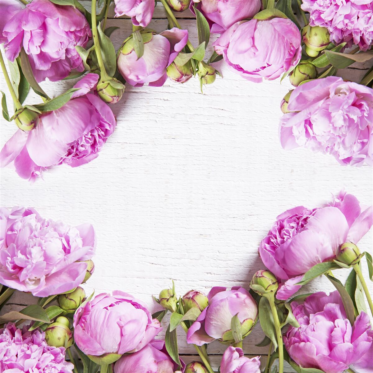 Fotobehang paarse bloemen in de decoratie