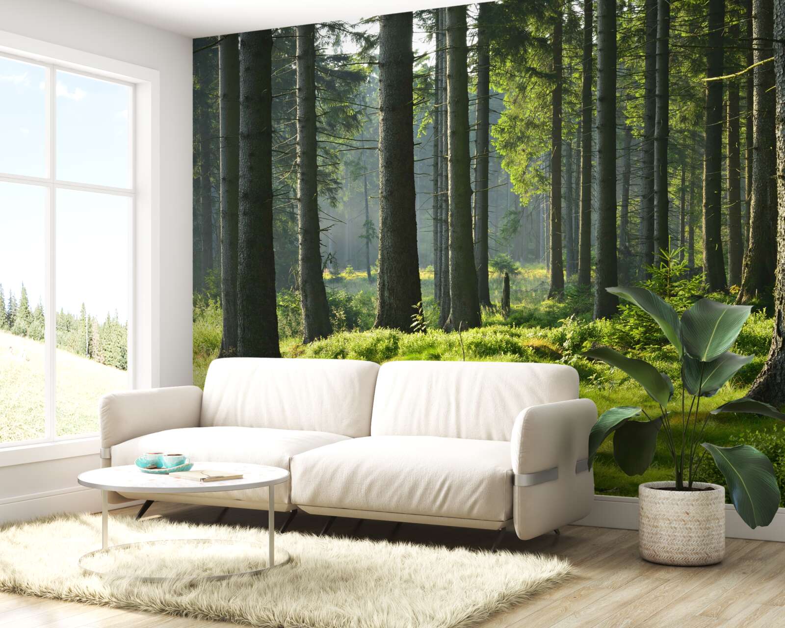 Fotobehang hoge oude bomen en groen mos