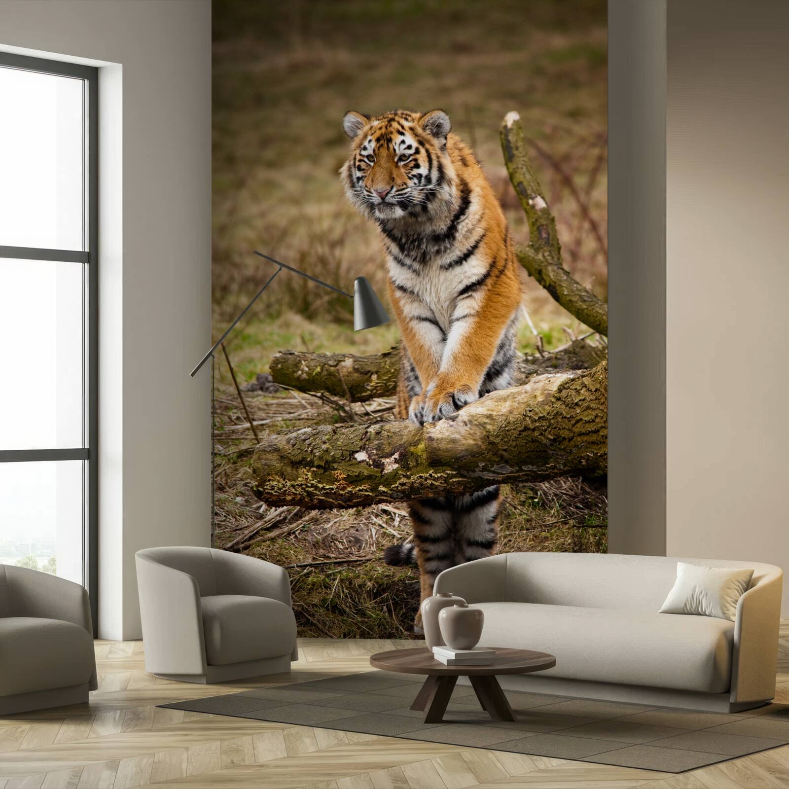 Fotobehang tijger zit op een tak en wacht op prooi