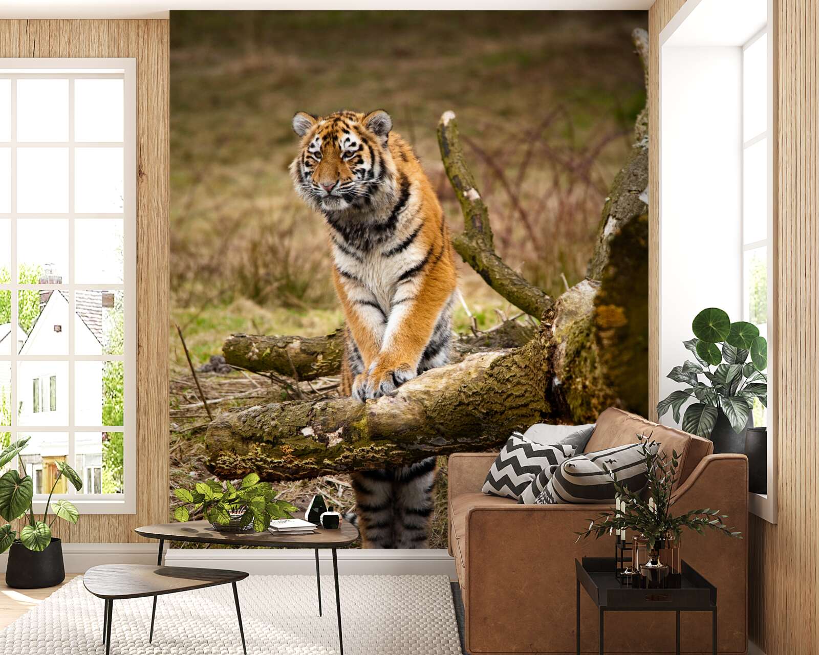 Fotobehang tijger zit op een tak en wacht op prooi