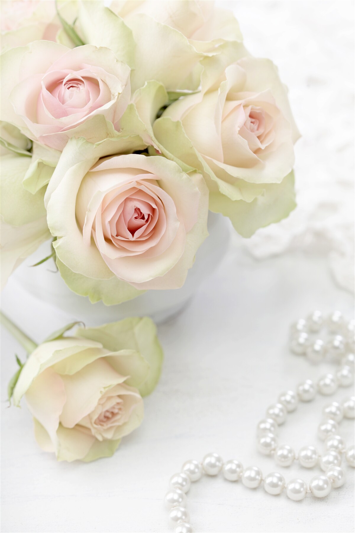 Fotobehang compositie van delicate lichtroze rozen en parels