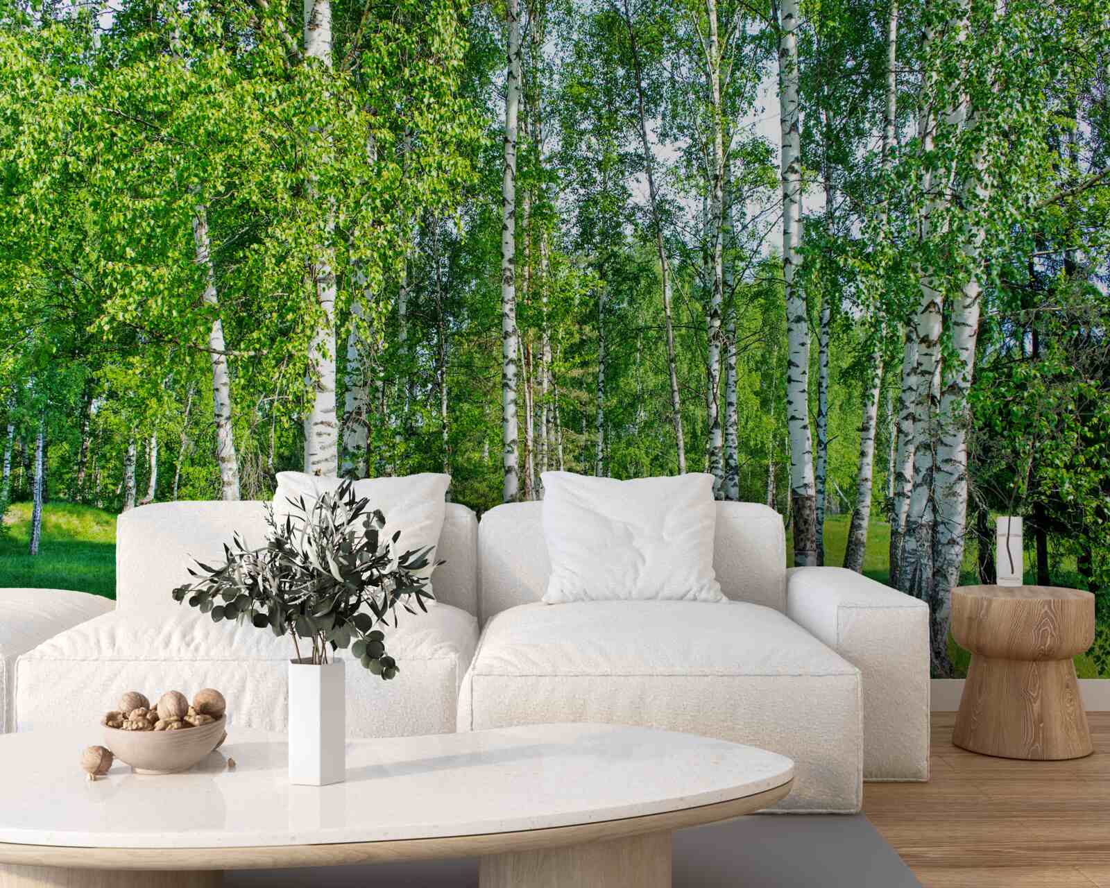 Fotobehang berken met groene bladeren groeien in het zomerbos